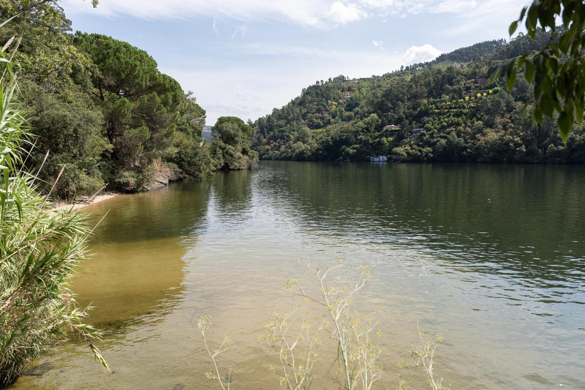 Pacos de Gaiolo Quinta Da Ribeirinha - Douro River מראה חיצוני תמונה