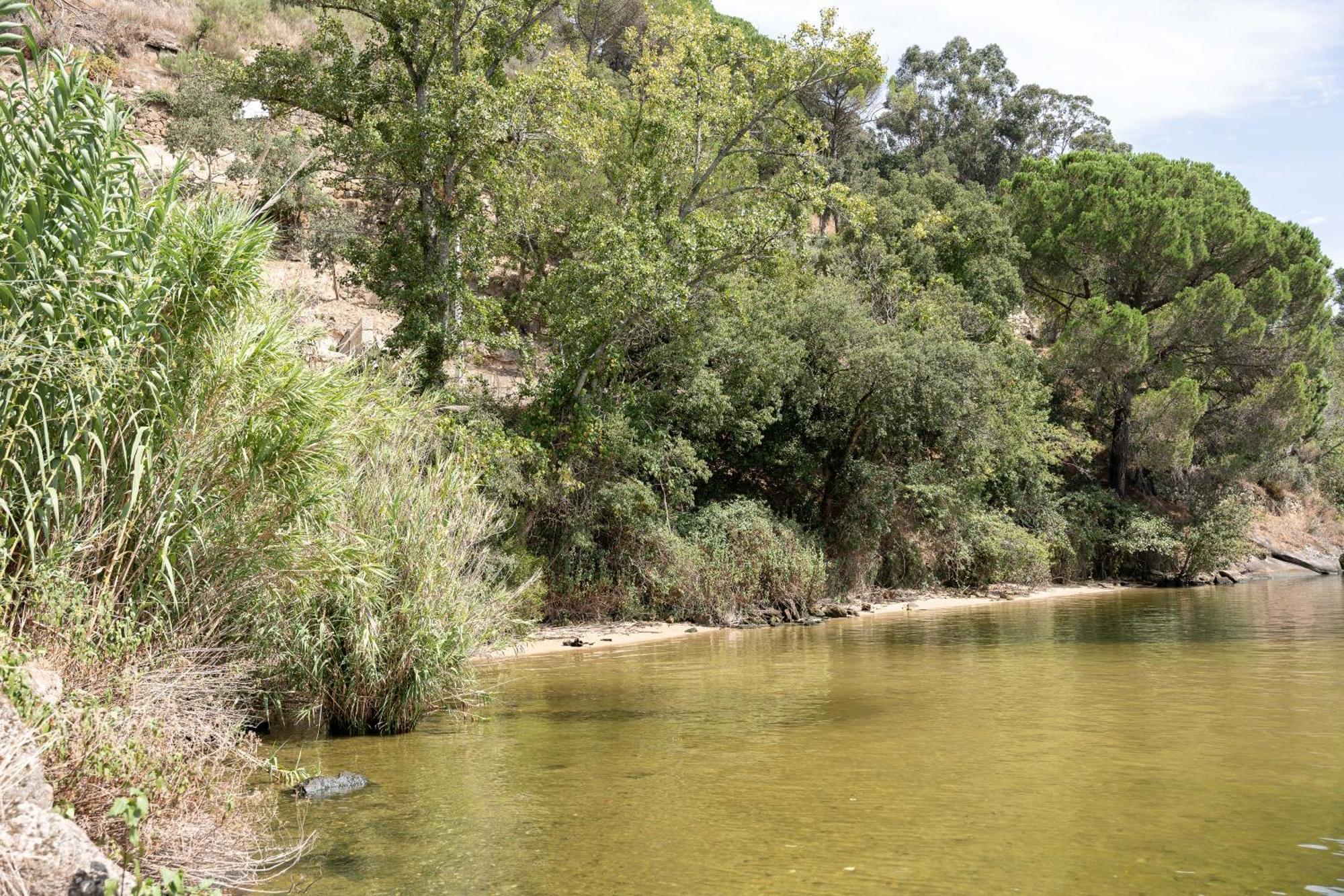 Pacos de Gaiolo Quinta Da Ribeirinha - Douro River מראה חיצוני תמונה
