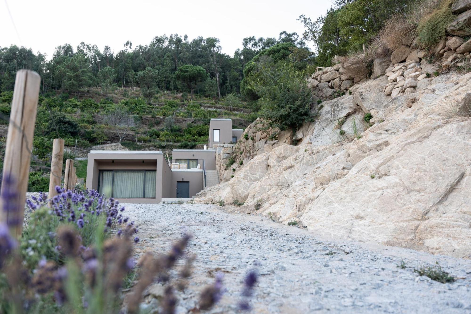 Pacos de Gaiolo Quinta Da Ribeirinha - Douro River מראה חיצוני תמונה